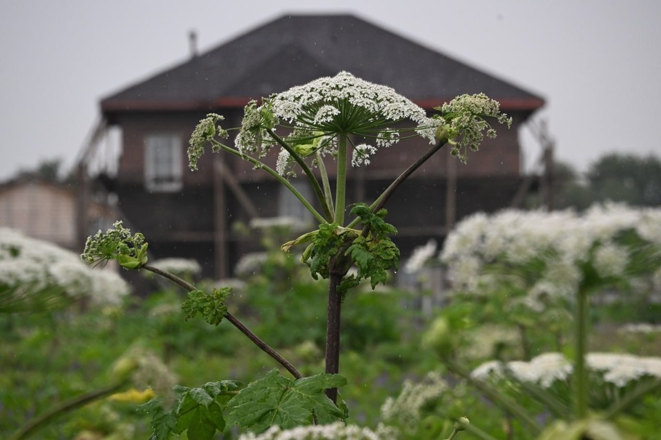    Суммы штрафов варьируются от 20 до 700 тысяч рублей Владимир ВЕЛЕНГУРИН