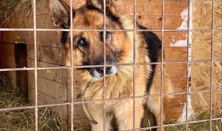 ‼️ДРУЗЬЯ, СИТУАЦИЯ СОС