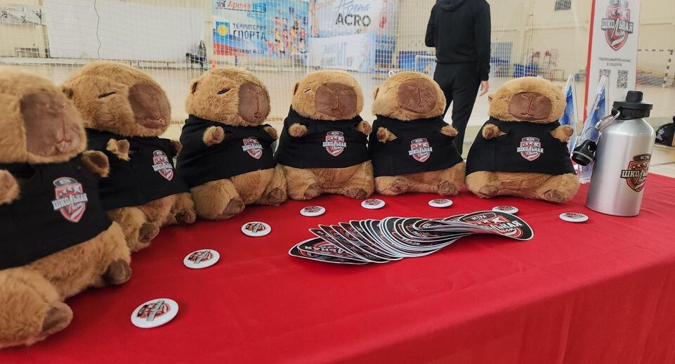    МедиаБанк Подмосковья/Андрей Алекин