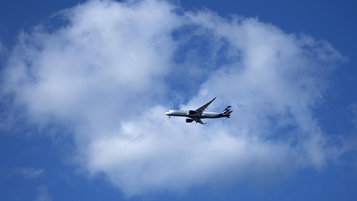    Фото: ИЗВЕСТИЯ/Дмитрий Коротаев