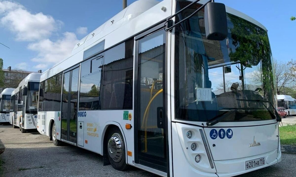    Фото t.me/mup_mptn_nvrsk