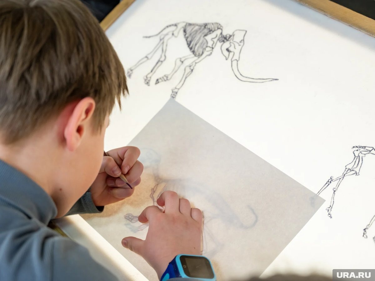 Листайте вправо, чтобы увидеть больше изображений