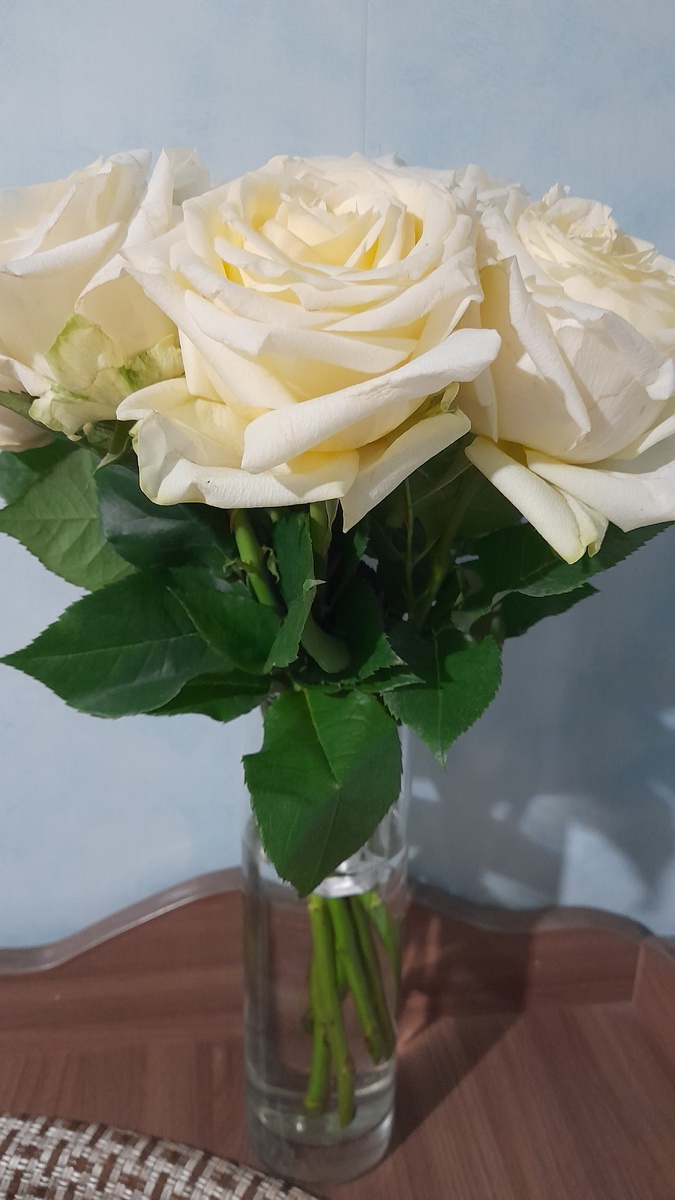 Розы от автора