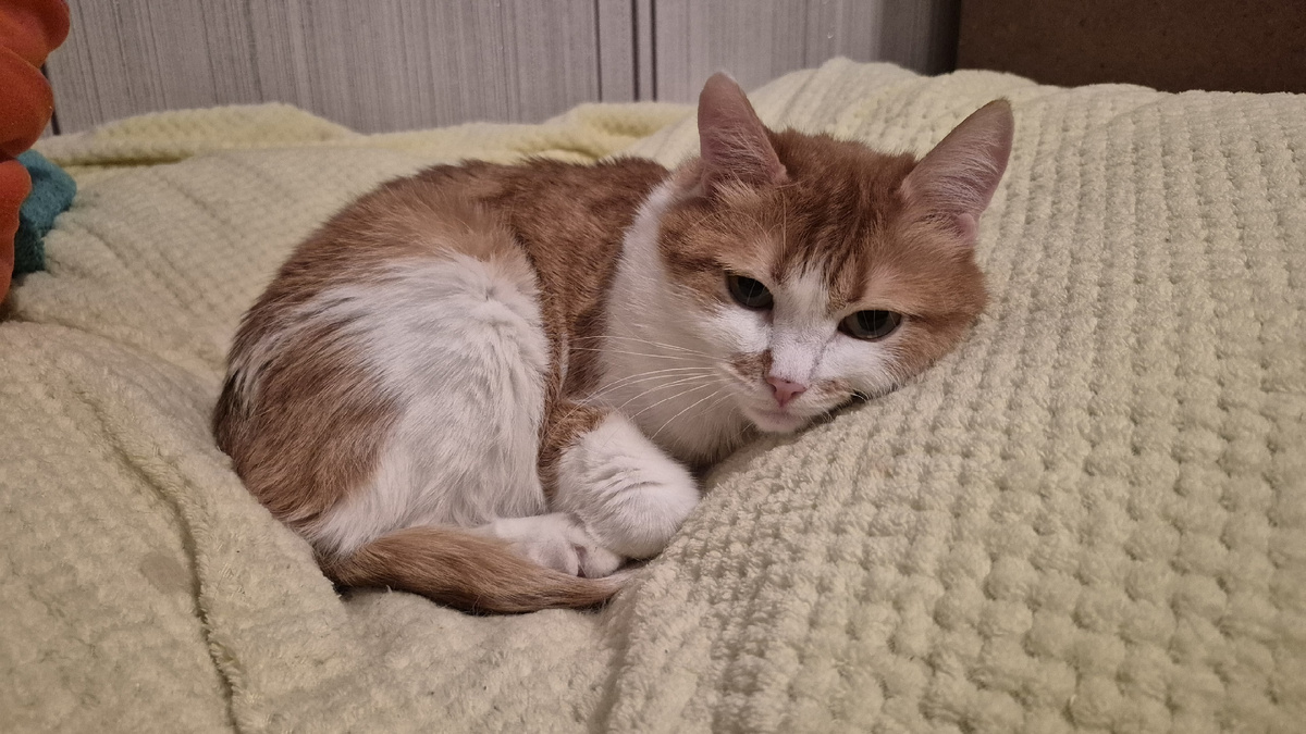 рассказываю, что меня долго не будет, но скучать не надо