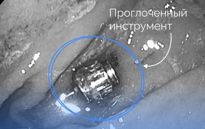 
Фото: t.me/dzhmao