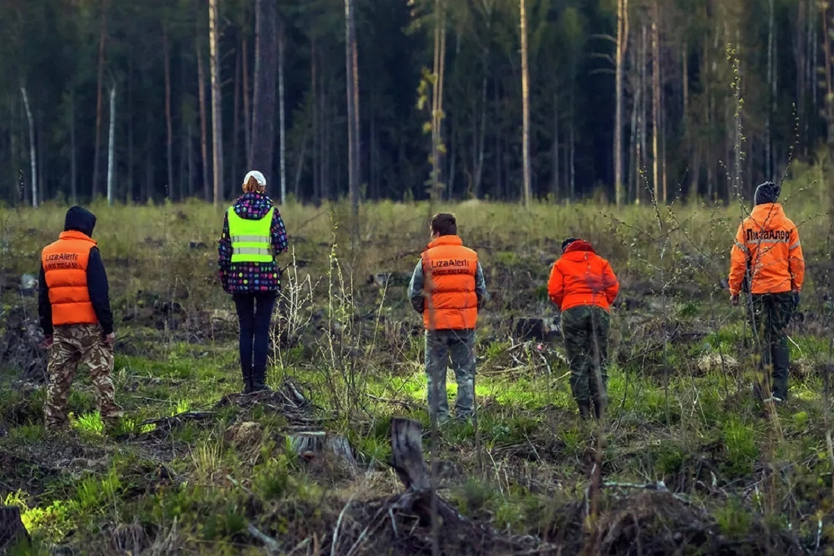    Фото: коллаж RuNews24.ru