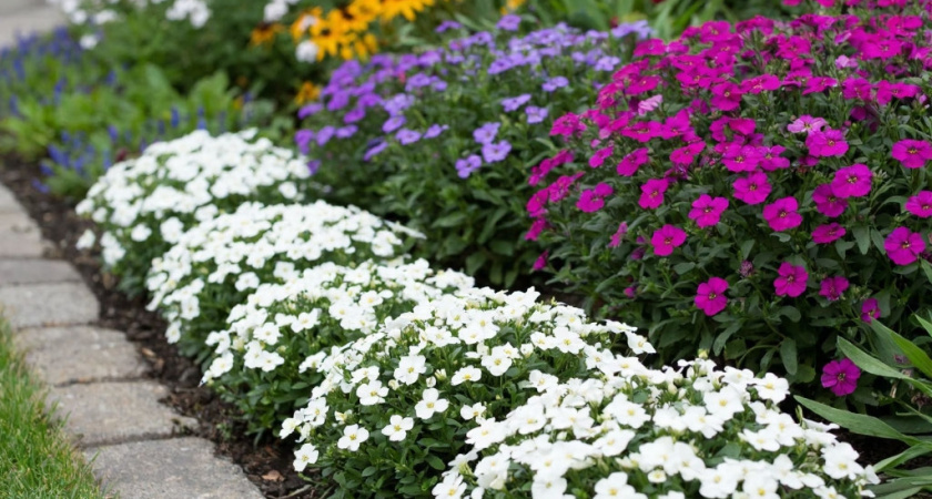    фото создано нейросетью Алиса