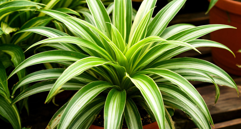    Создано в Шедевруме