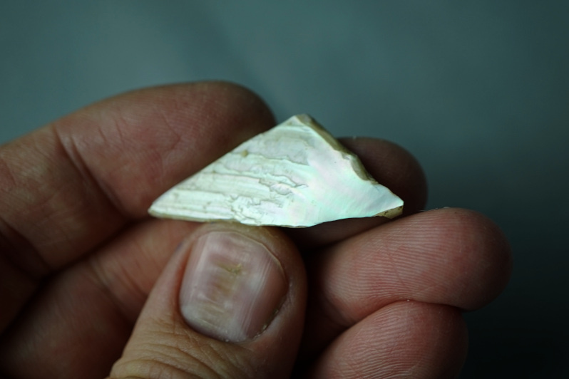 Запечатлеть всю прелесть перламутрового блеска на фотографии не так просто, слишком тонкие переходы цветов. Обратная сторона не такая интересная - обычный серебристо-перламутровый цвет без красно-зелёных переходов.