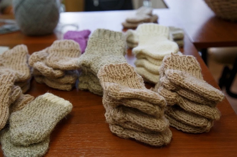    Фото предоставлено помощником депутата Госдумы Александра Аксёненко