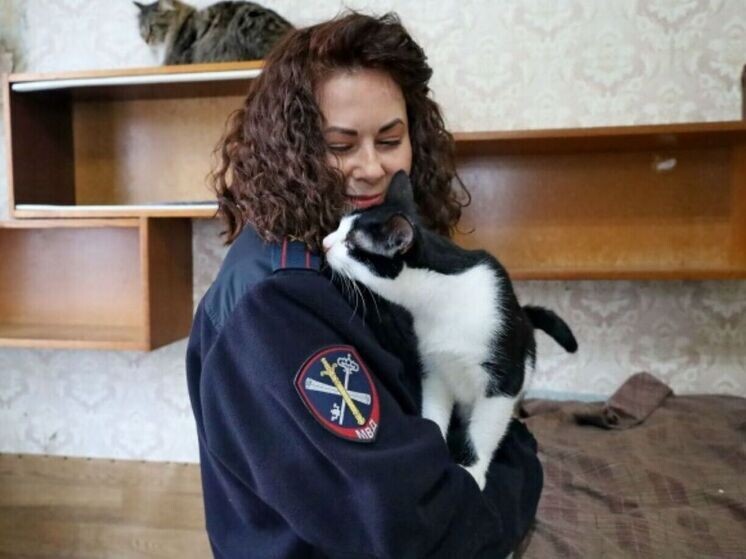     фото: УМВД по КО