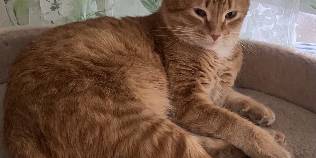 1 марта . Как день прошёл.