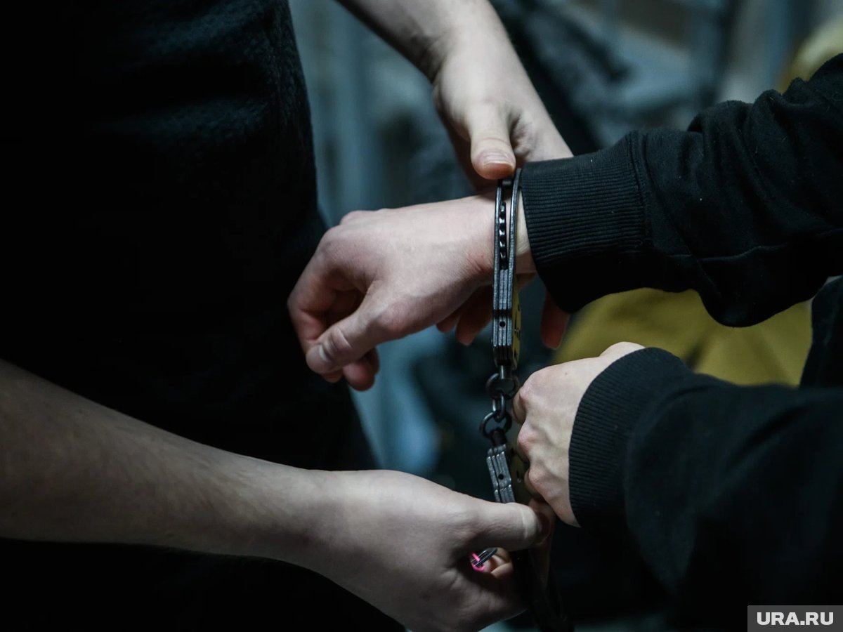     Чеканову предъявили обвинение в крупном мошенничестве и арестовали