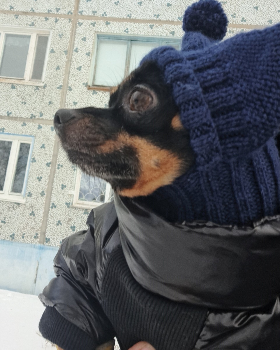 фото автора (честно у Наташи отобрал)