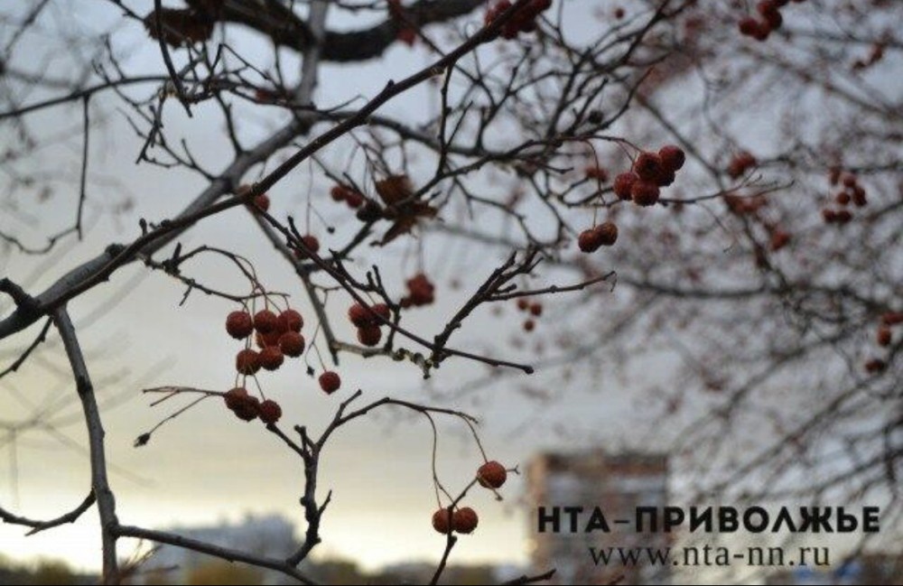    Народные приметы: 2 марта