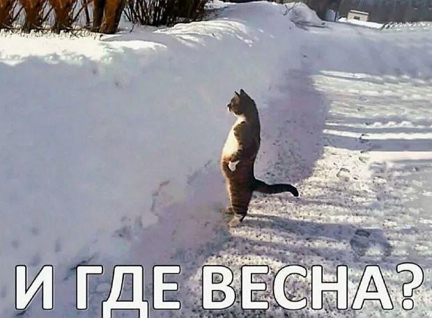 Из открытых источников. Спасибо, что можно пользоваться.