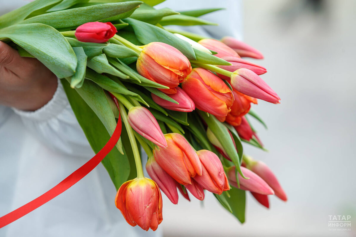 Фото: © Владимир Васильев / «Татар-информ»