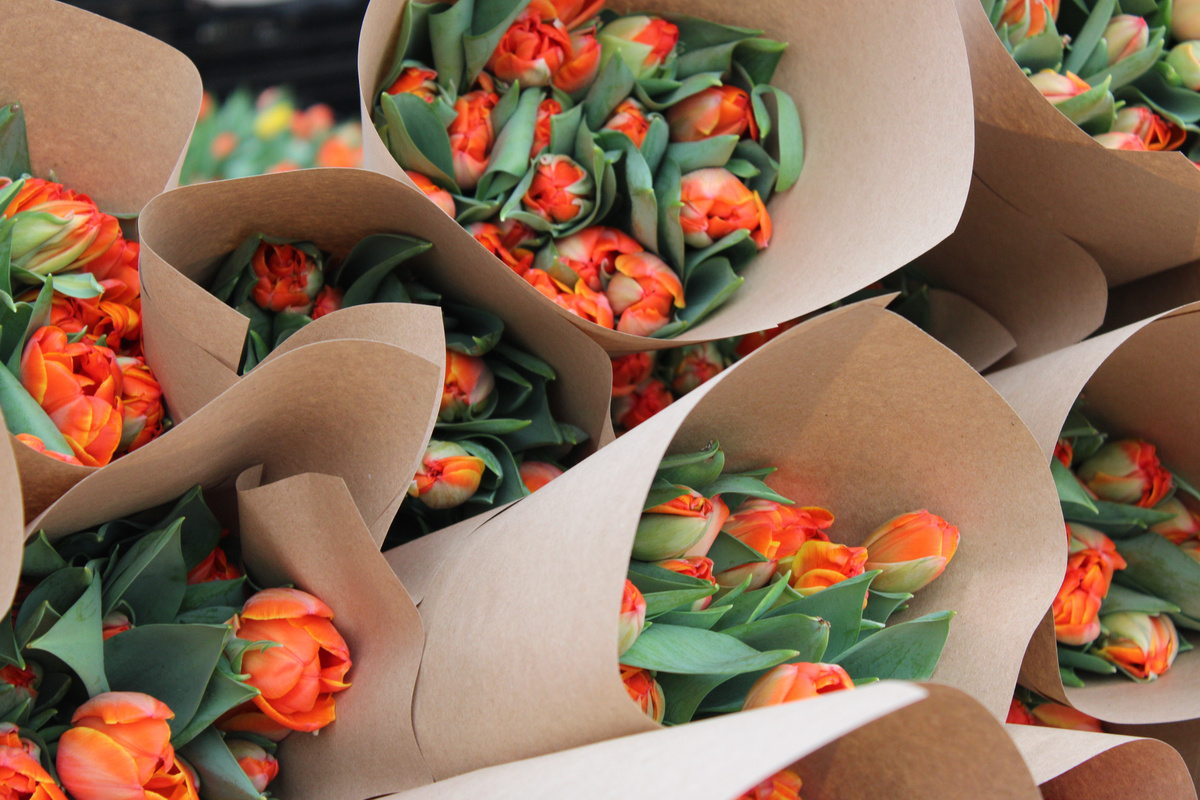 Перед праздником весны цены на розы и тюльпаны снова вырастут.  Фото: Фото: ФедералПресс / Ксения Кобалия