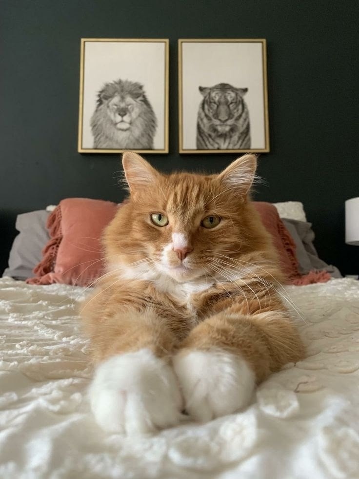 иллюстрация из яндекс картинки.