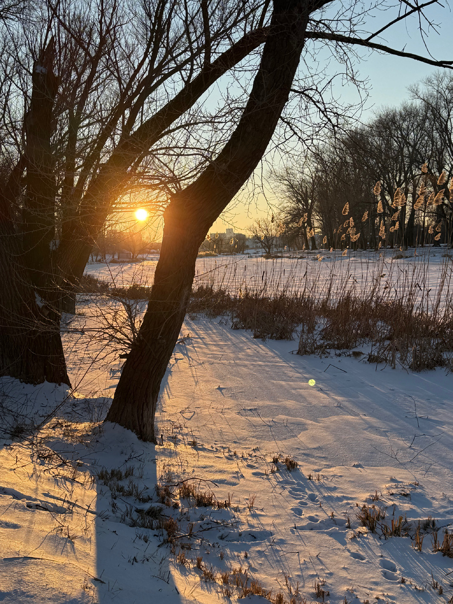 Тихая Сосна