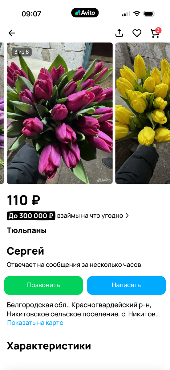 Фото из интернета 