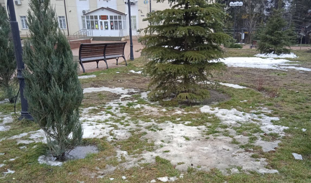    Фото редакции "СВ" Марина Ецкова