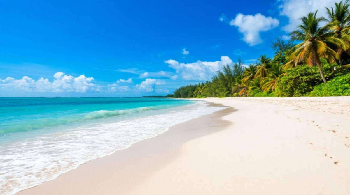    Фото: сгенерировано ии