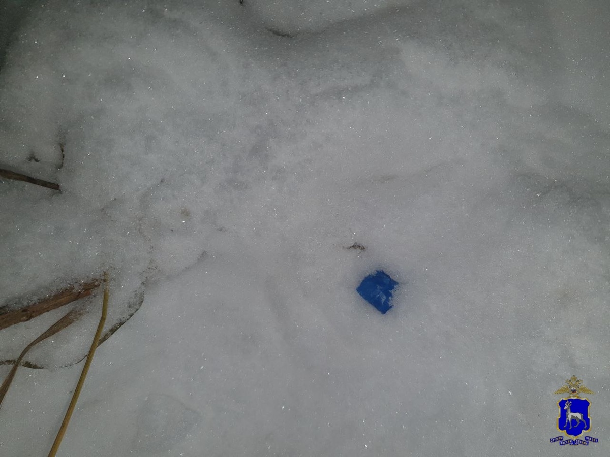    Фото ГУ МВД РФ по Самарской области