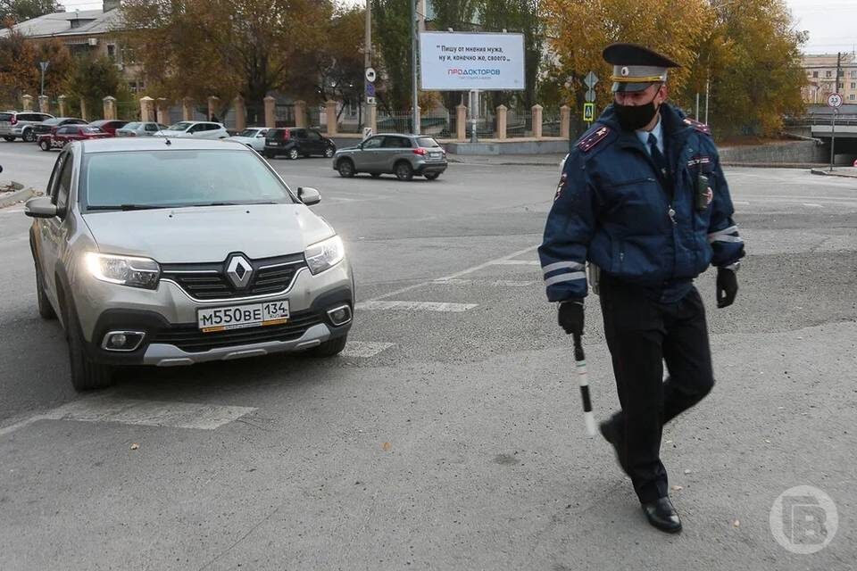   фото: Дмитрий Рогулин / "Городские вести"