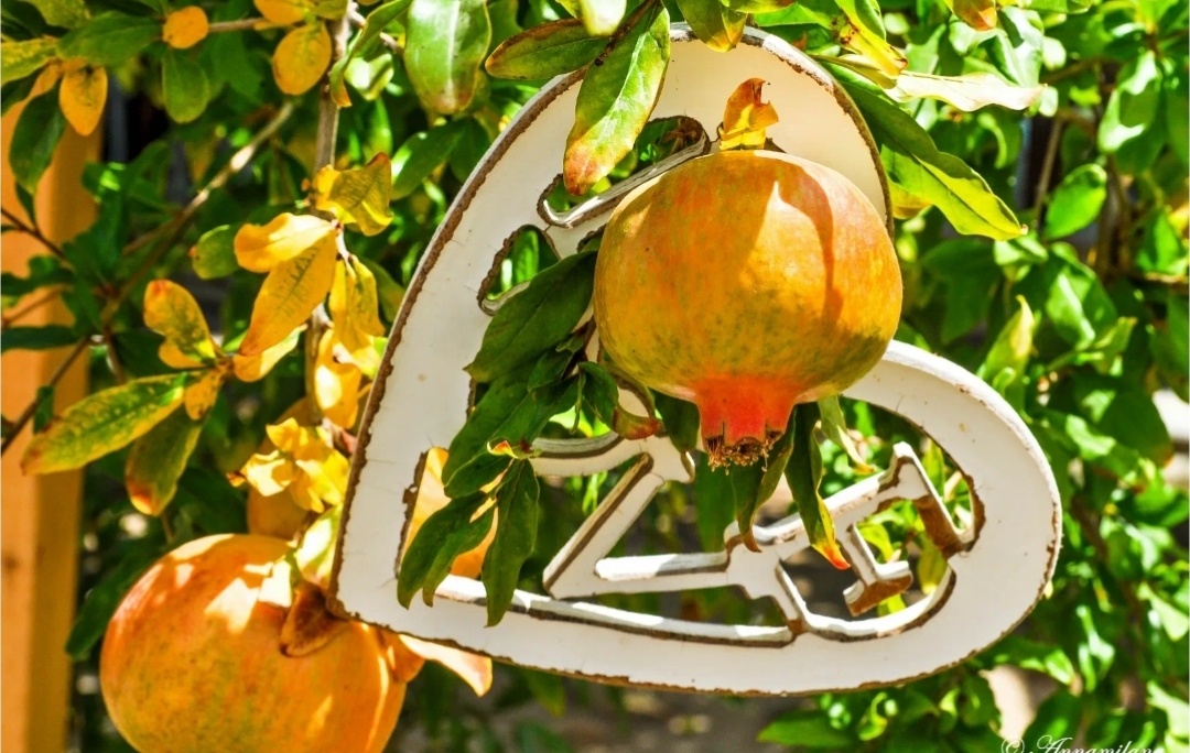 Из открытых источников