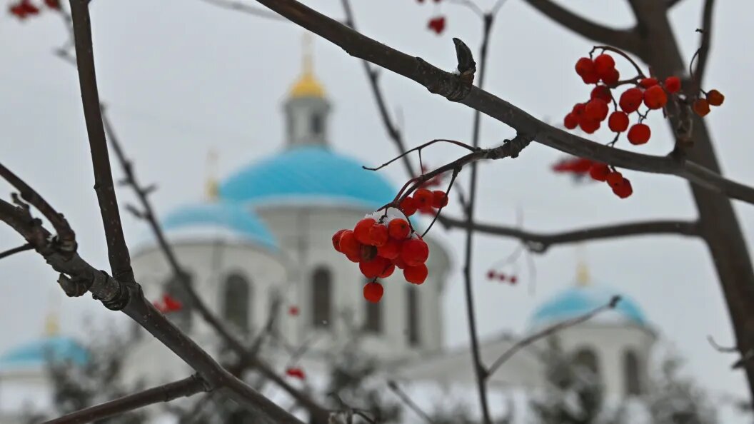    2 марта 2026 года православные отмечают Феодоров день. Фото: Олег Рукавицын/Царьград