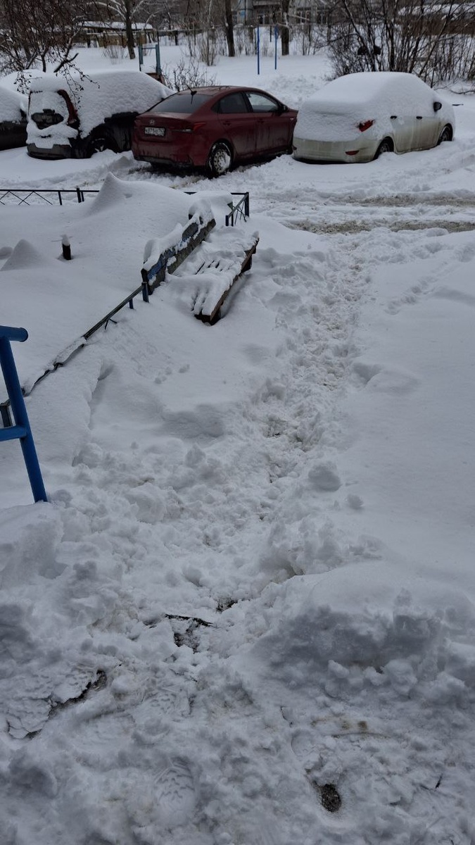 нас завалило снегом)