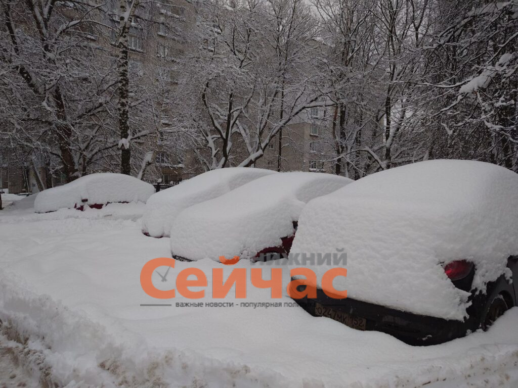    Фото: ИА "Нижний сейчас" Виктор Дивеев