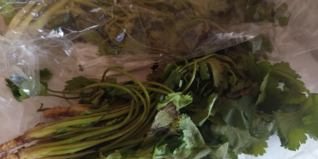 Весна, новости. Я это сделала.