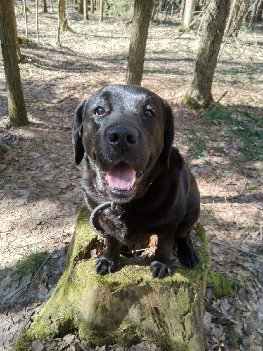 Фото автора. 