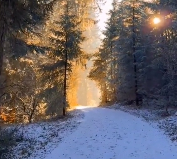 Своя красота небольшого пути. Рассказ 12+