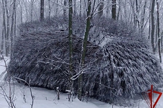    Фото: Пресс-служба Росгвардии Василий Шеин