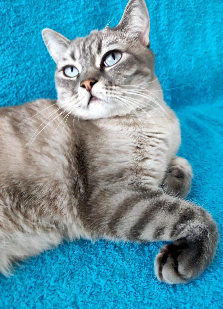 1.📌Мишель при рождении. А в жизни просто Соня 😽