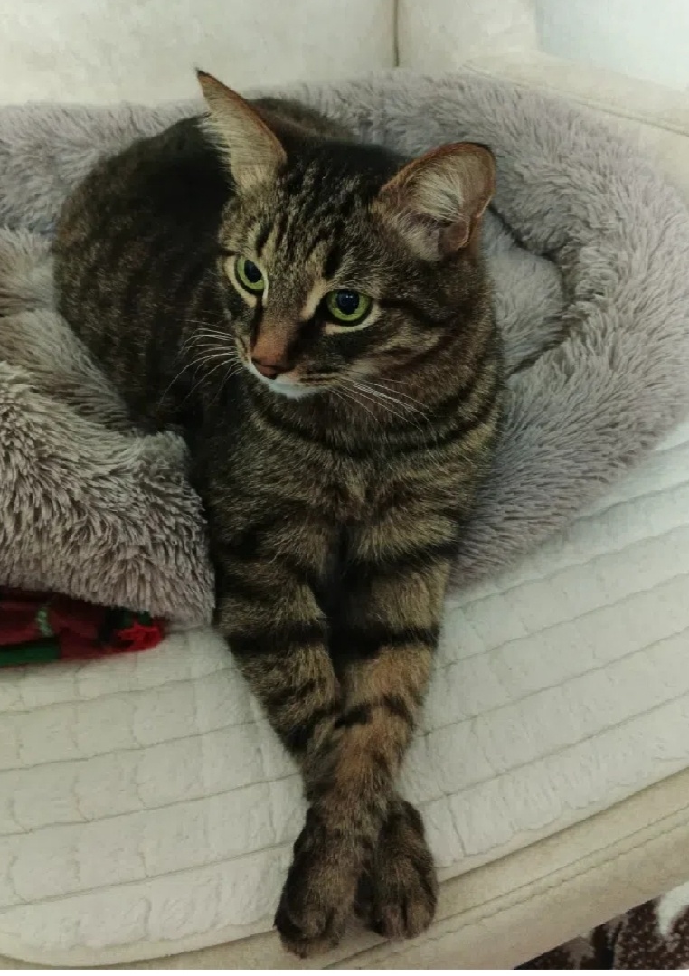 2.📌Кузьма ❤️