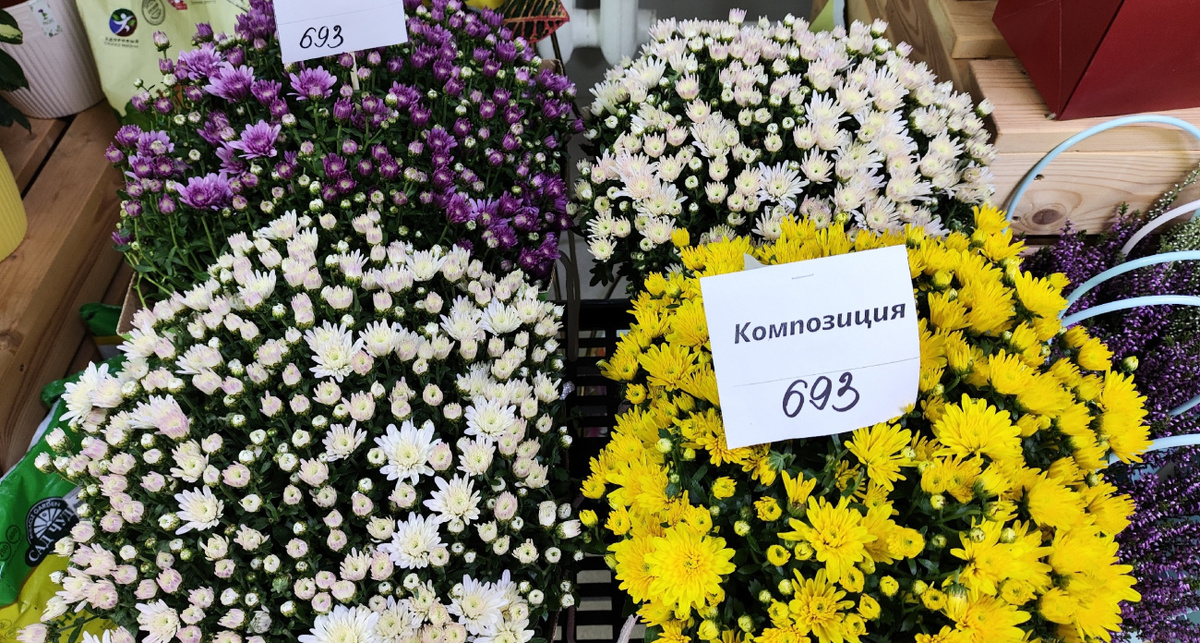    Фото: ПроГород