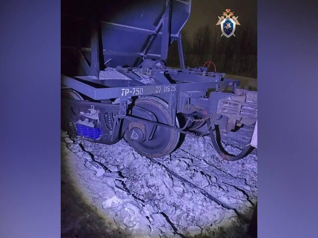    Фото: МАХ/"Центральное МСУТ СК России"