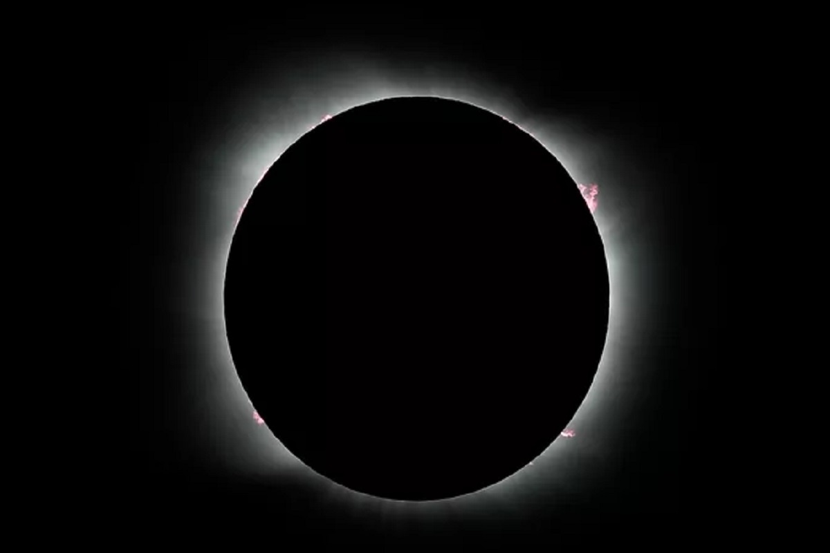    Фото: Natacha Pisarenko, источник: AP Photo