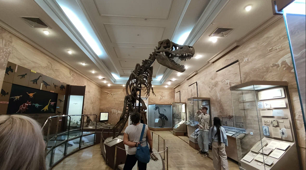 
Музей археологии РТ
Источник фото: сайт Музея Археологии РТ, предоставлено автором