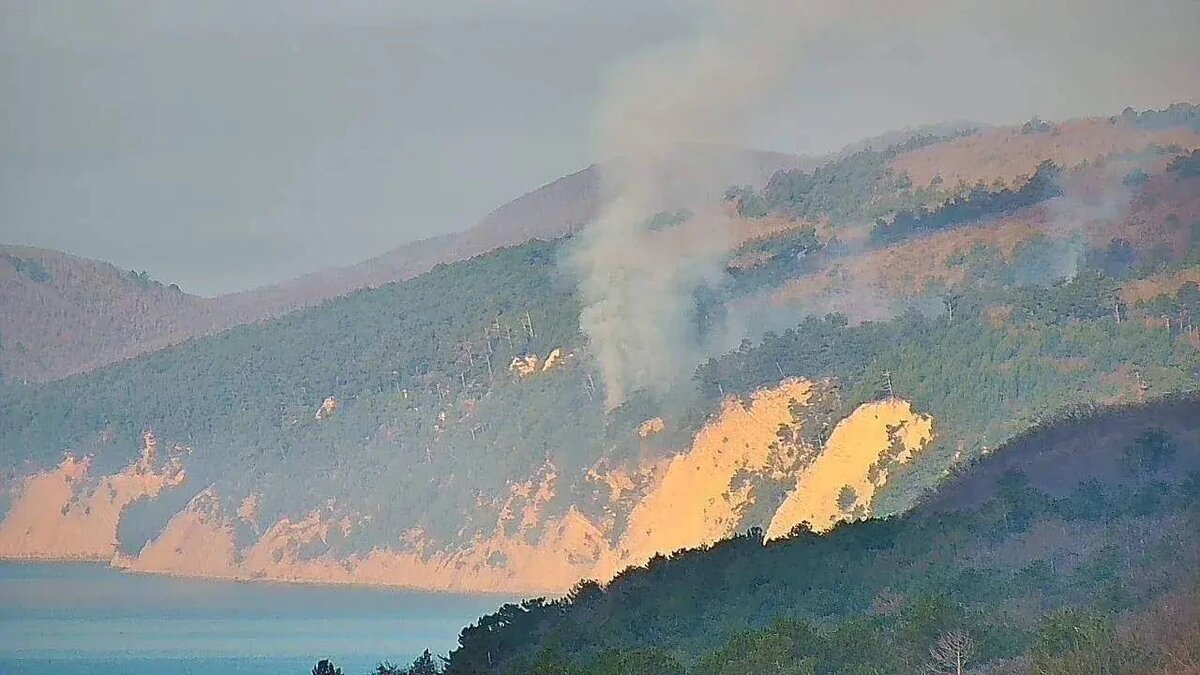    Фото t.me/mpr_kk