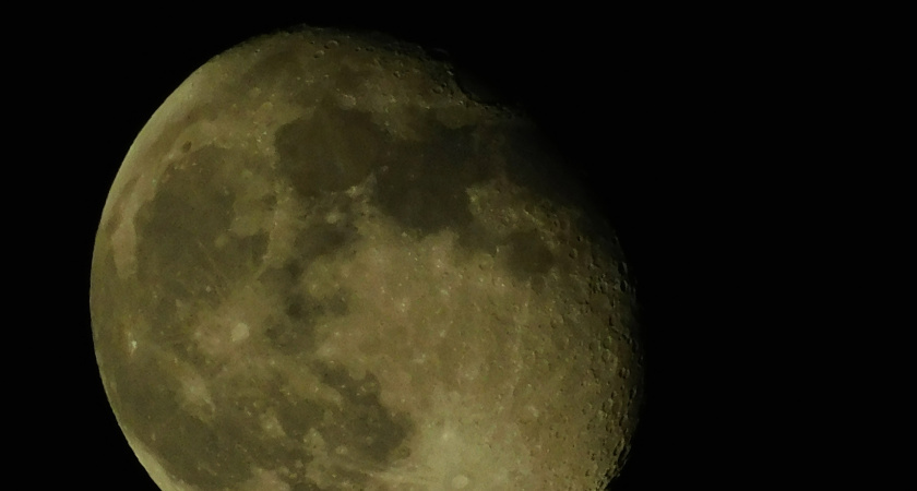    Автор: Вячеслав Вольгин