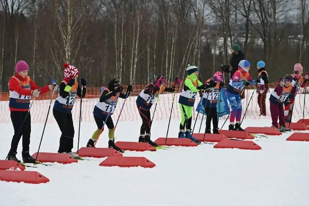    Фото: пресс-служба администрации г.о. Серпухов