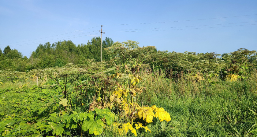    Фото "Про Город"