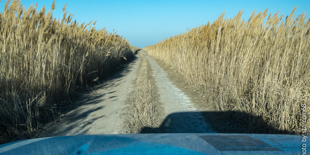 Кратчайшая дорога с плато Устюрт на Муйнак через болота и камыши