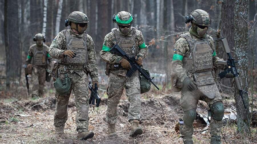    Фото: Global Look Press/Danylo Antoniuk