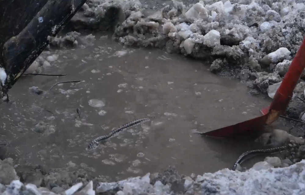     Фото: Тагил-ТВ